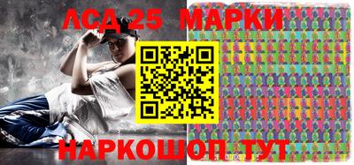гидропоника Сланцы