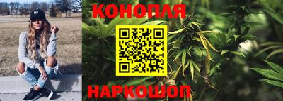 гидра Славгород