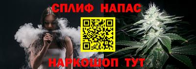 гидра Славгород