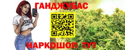 гидра Славгород