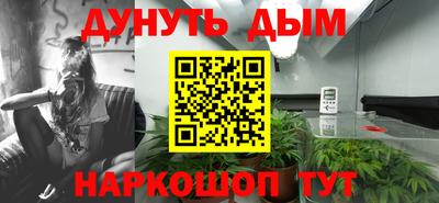 гидропоника Сланцы