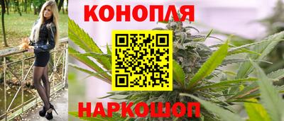 гидра Славгород